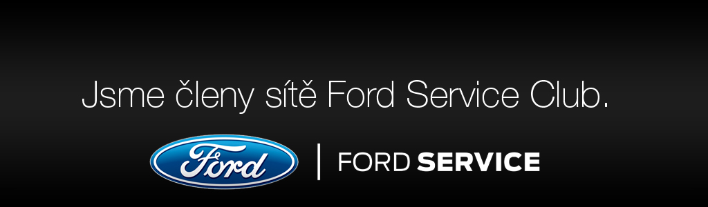 Ford servis